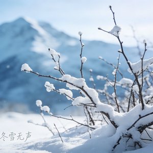 《你是那年冬天的雪》