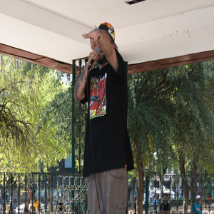 Cuervos Santa Catarina