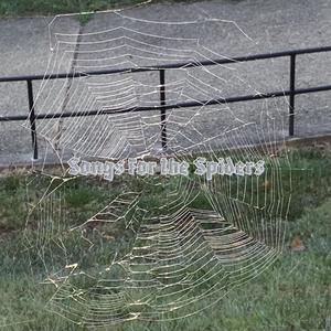 Stagnate (And Don't Remember)