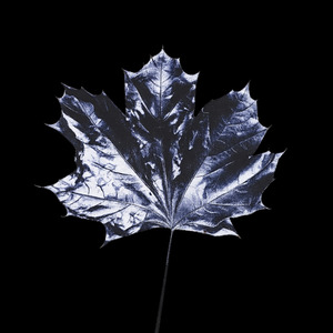 LEBEN EKLIG (Instrumental)