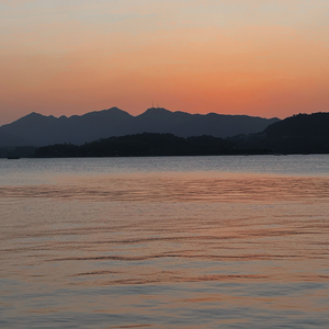 Brandy Violet（Prod by：NeonMusic）