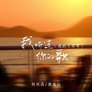 我听过你的歌 (我的大哥哥)