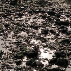 别想那么多（Prod.BFCat）