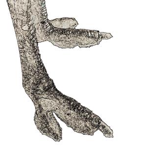 How To Ruin Everything For Everyone