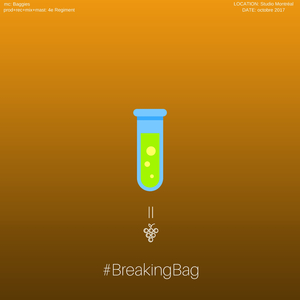 Breaking Bag