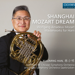 Horn Concerto No. 3 in E-Flat Major, K. 447:I. Allegro