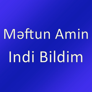 Indi Bildim
