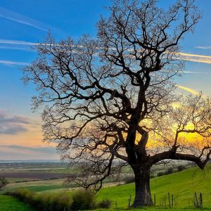 山色空蒙雨亦奇 (6)