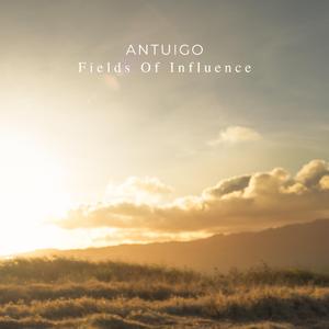 Fields Of Influence