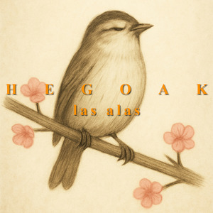 Hegoak (las alas)