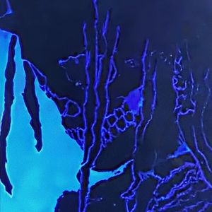 风驶过的声音是