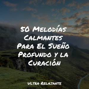 Mañanas Junto Al Mar