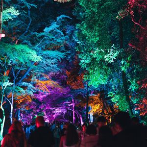 l dont love anymore（采样：大话西游）