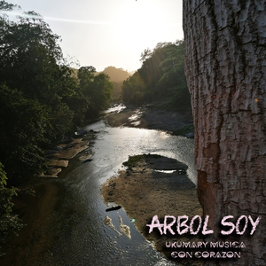 Arbol Soy