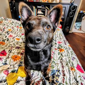 Da type (Chill remix)