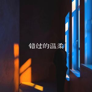 错过的温柔