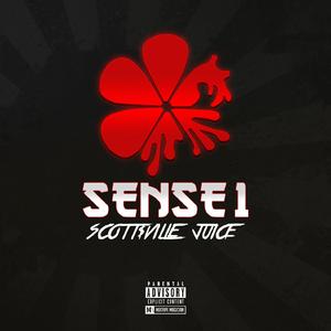 Sensei