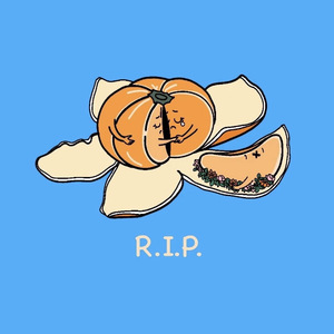 橘子不是唯一的水果