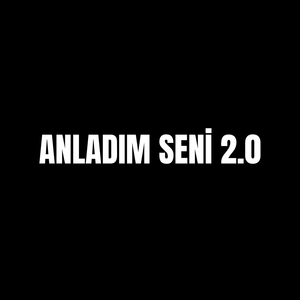 ANLADIM SENİ 2.0
