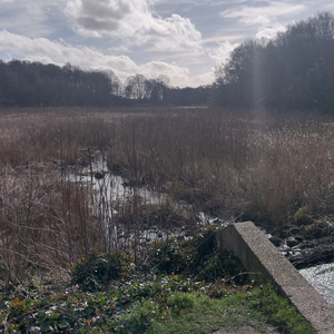 I got peace like a river