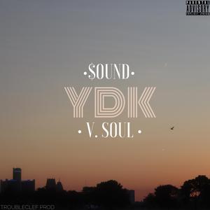 YDK (feat. V.Soul)