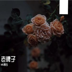 Zulpikar-yusup-老牌子（MG穆古 remix）