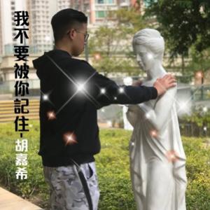 我不要被你記住 (國語Demo)