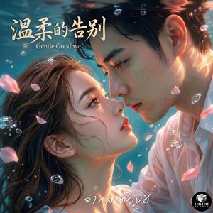 温柔的告别 (Gentle Goodbye)
