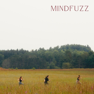 Mindfuzz