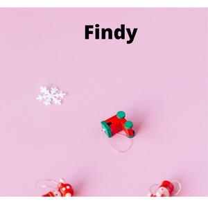 Findy