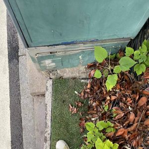 愈合(prod.Syan Ru)