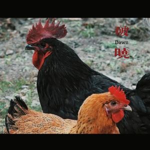 破晓