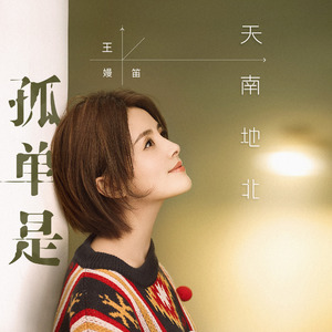 孤单是天南地北