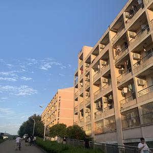 白羊-小冬不会唱歌(cover:沈以诚)