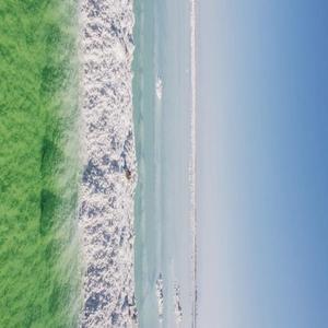 【Free】"湖 的 决 心"