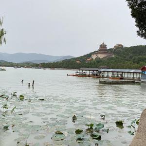 黑龙江岸边马尾草