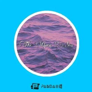 The Open sea