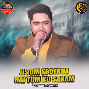 Jis Din Se Dekha Hai Tum Ko Sanam (1)