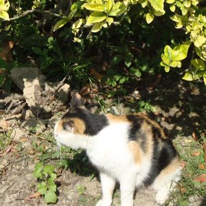 一则青春的简讯