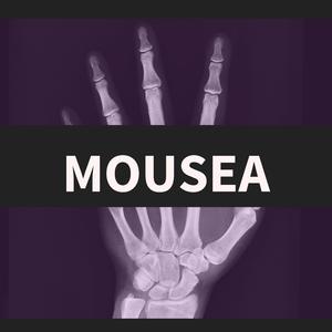 Mousea