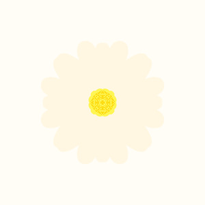 Matricaria Chamomilla