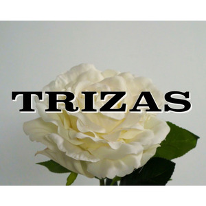Trizas
