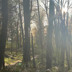 when its done (Prod. tarzan)