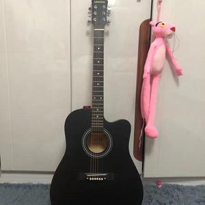 楼顶上的小斑鸠