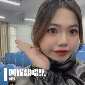 你是我心内的一首歌