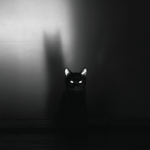 As Soon As I Discover