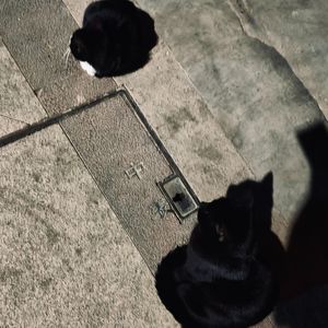 冬夜(what's luv...)