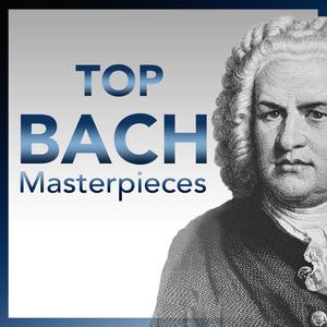 Brandenburgisches Concerto No. 1 in F Major, BWV 1046: Allegro