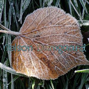 Every One Need Agent