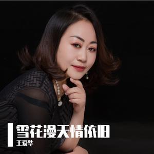 雪花漫天情依旧（DJ阿能版）